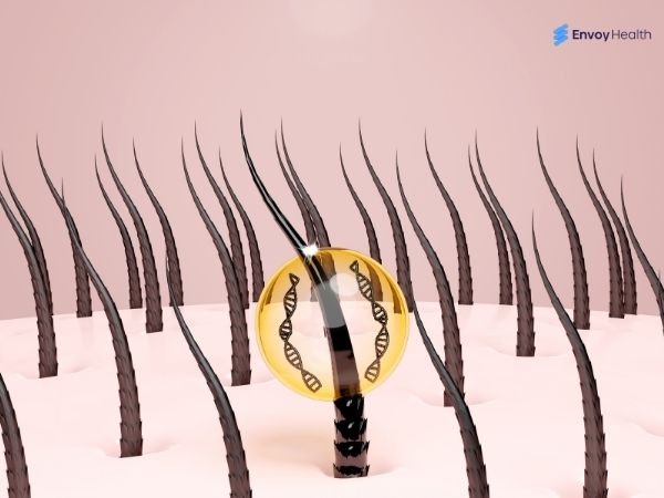 Hair follicle growth 